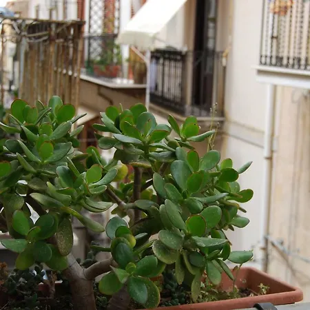 Casa Rubino Apartment